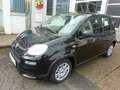 Fiat Panda Pandina HYBRID 1,0  51 kW ( 70 PS ) PDC Klima Blue Schwarz - thumbnail 2