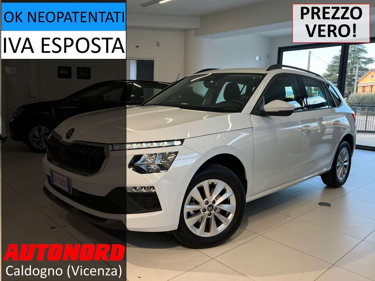 Skoda Kamiq Kamiq 1.0 TSI Selection