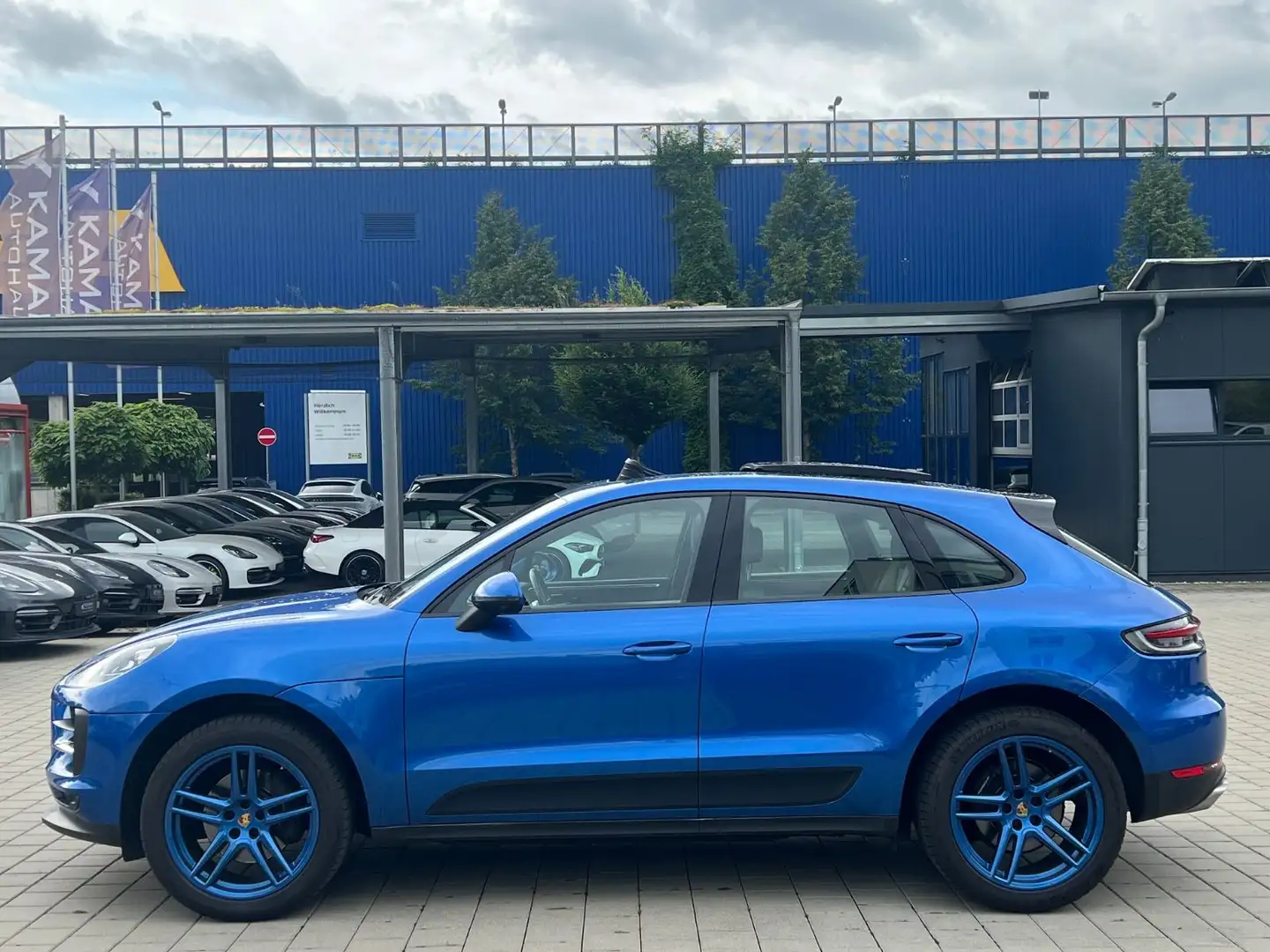Porsche Macan *PANO-SUSPENSION-AHK-STANDHZG-360-ALU20* Blau - 2