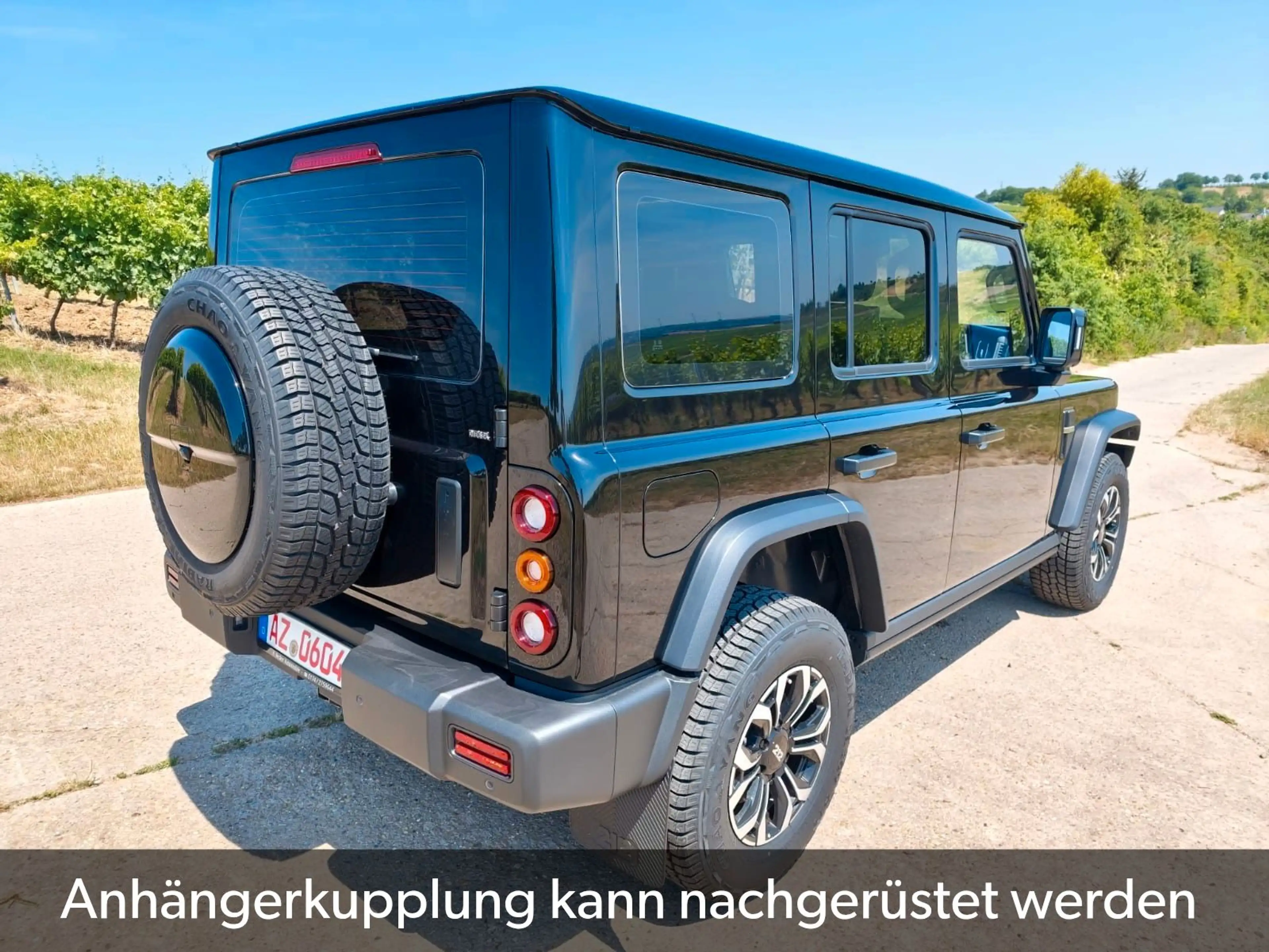 BAW 212 sofort verfügbar abgedunkelte Scheiben — photo 9