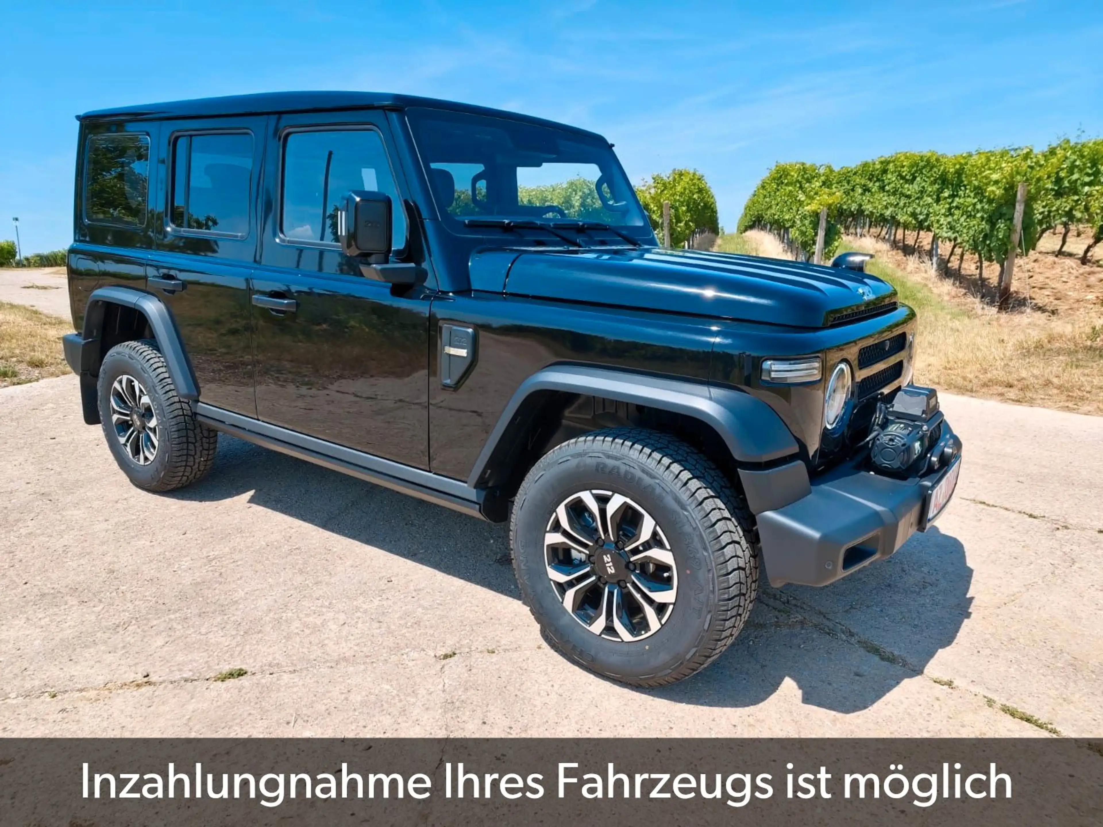 BAW 212 sofort verfügbar abgedunkelte Scheiben — photo 11