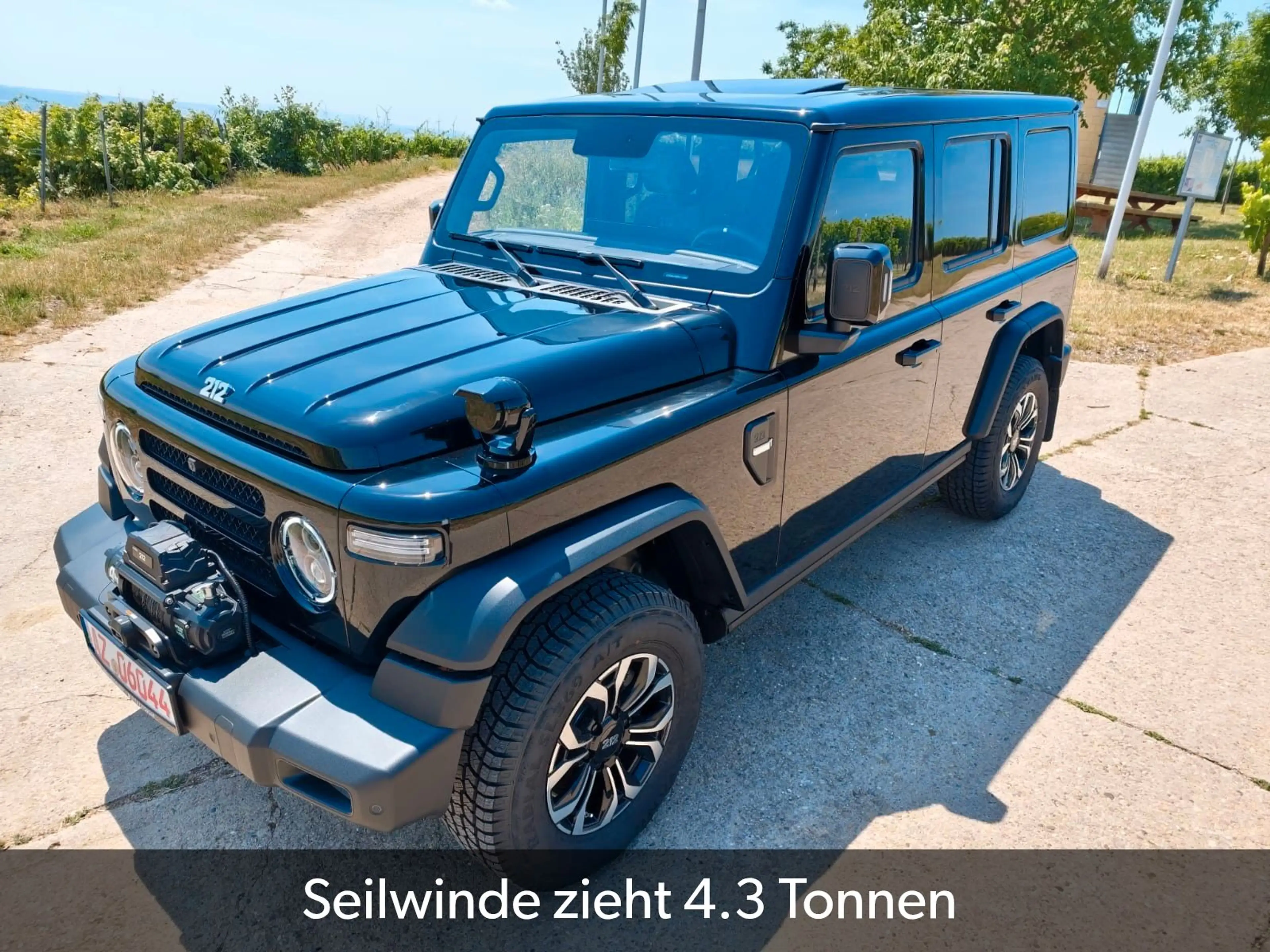 BAW 212 sofort verfügbar abgedunkelte Scheiben — photo 7