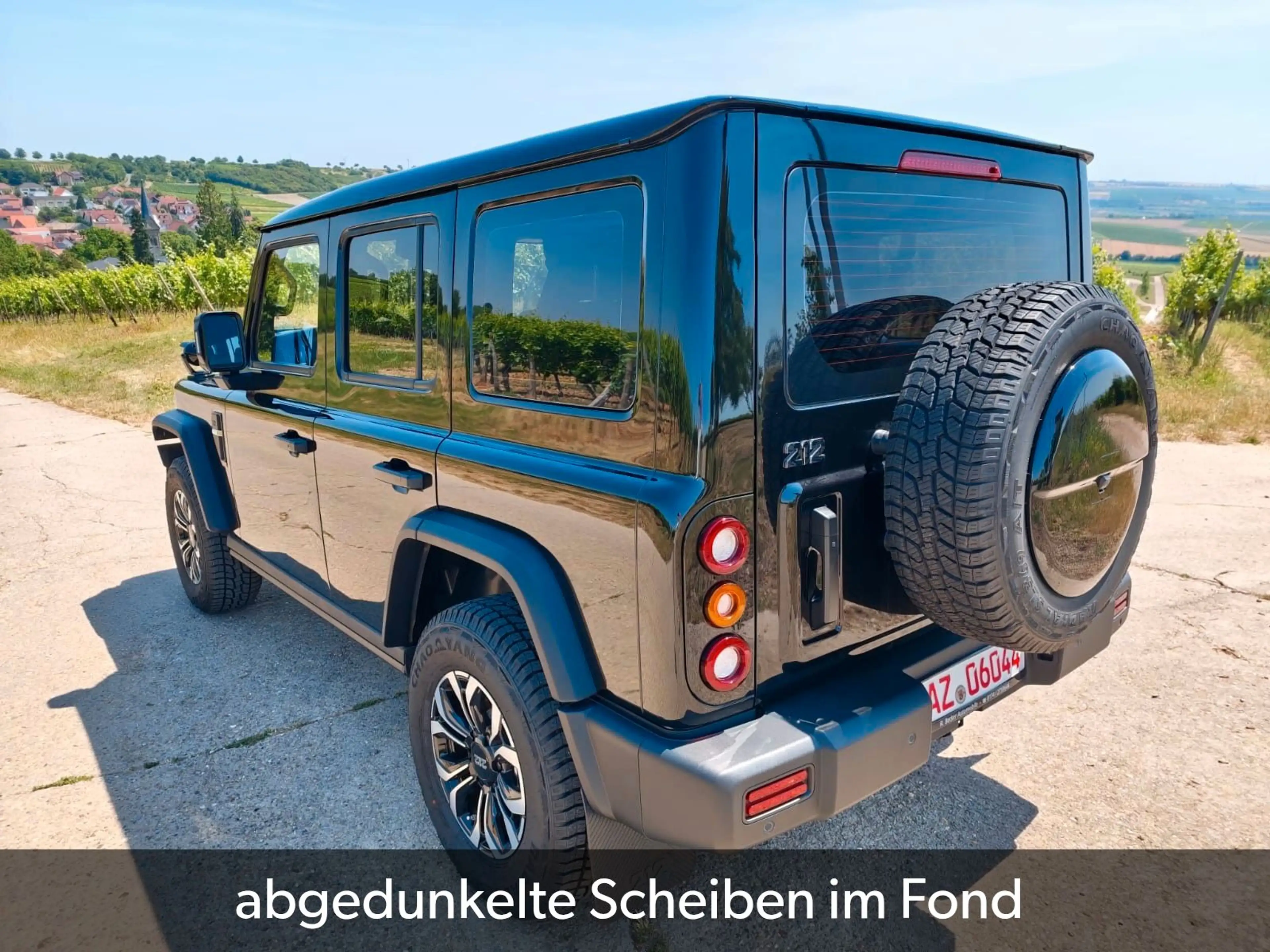 BAW 212 sofort verfügbar abgedunkelte Scheiben — photo 4
