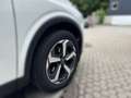 Nissan Qashqai N-Connecta MHEV, 360°-Kam, Winterpaket Weiß - thumbnail 7