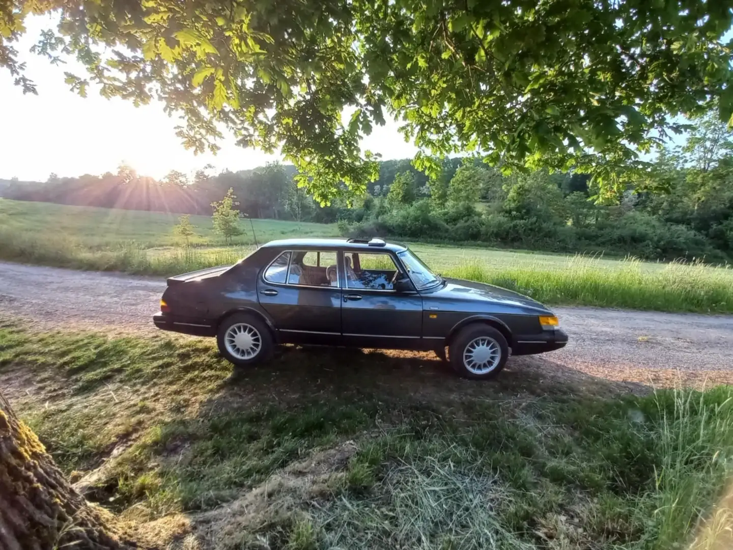 Saab 900 Grijs - 2