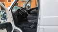 Fiat Ducato Maxi XL H3 Tetto Alto 2.3 Mjt 130cv EURO 6b Blanco - thumbnail 9