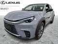 Lexus LBX Base + Comfort & Safety Pack Grau - thumbnail 1