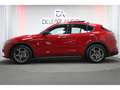 Alfa Romeo Stelvio 2.2 D 160 Sprint BVA (2) Rouge - thumbnail 4