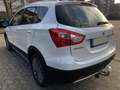 Suzuki SX4 S-Cross SX4 S-Cross 1.6 Comfort+ Navi LEDER Panorama Alb - thumbnail 5