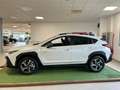 Subaru Crosstrek 2.0 4X4 Style Pronta Consegna Alb - thumbnail 4
