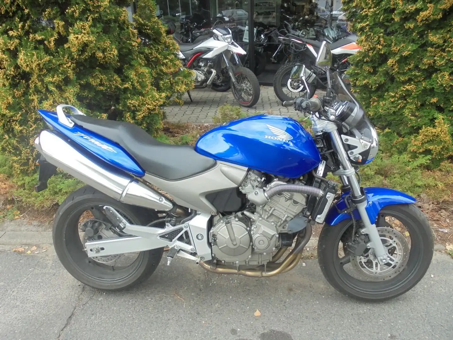 Honda CB 600 HORNET Blau - 2