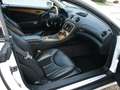 Mercedes-Benz SL 500 SL 500 (230.475) Weiß - thumbnail 20