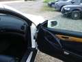 Mercedes-Benz SL 500 SL 500 (230.475) Weiß - thumbnail 21