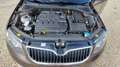 Skoda Octavia 2.0 TDI Combi Ambition 4x4 Navi* 17-Zoll Brun - thumbnail 13