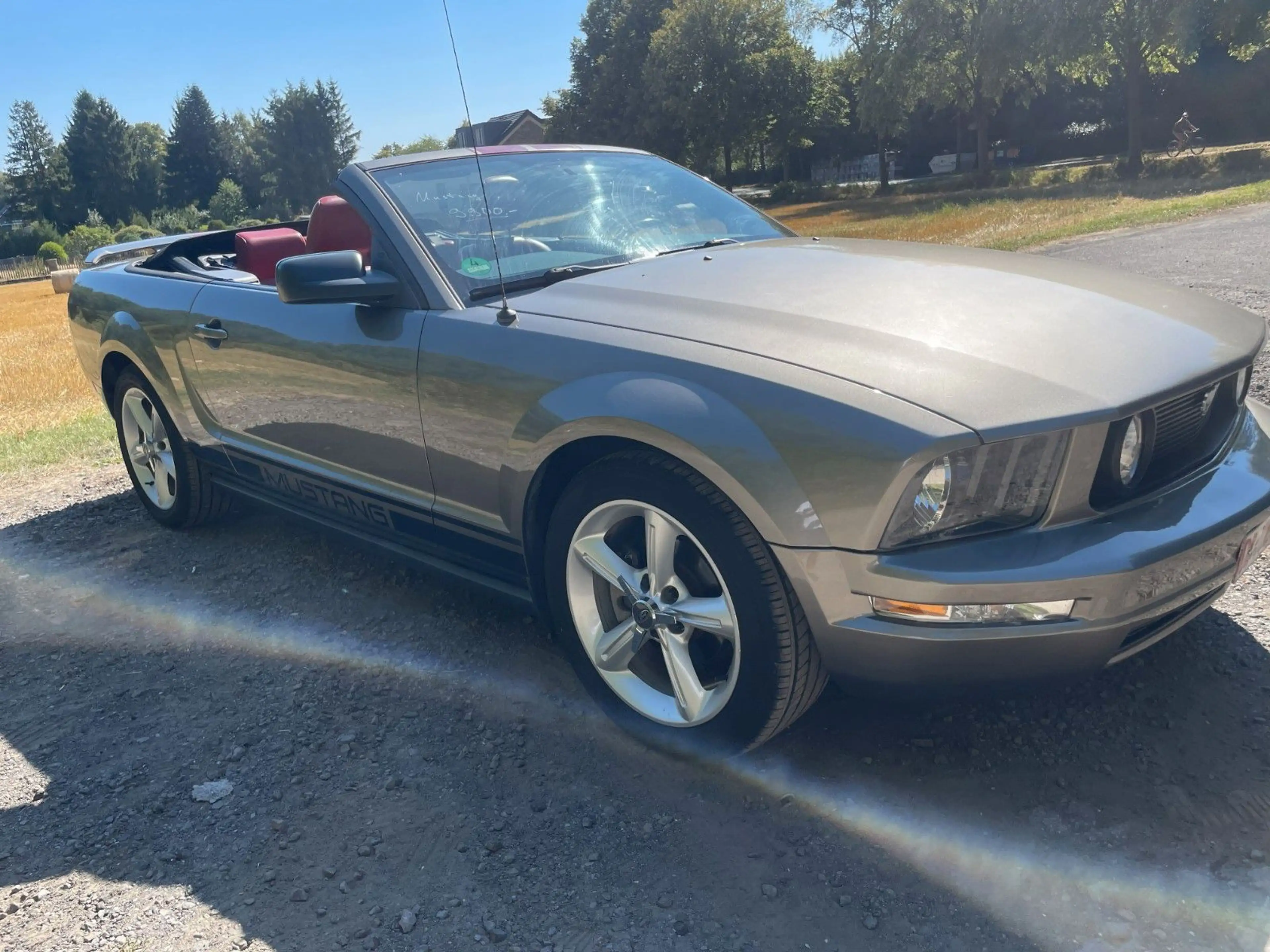 Ford Mustang Cabrio Top! — photo 15