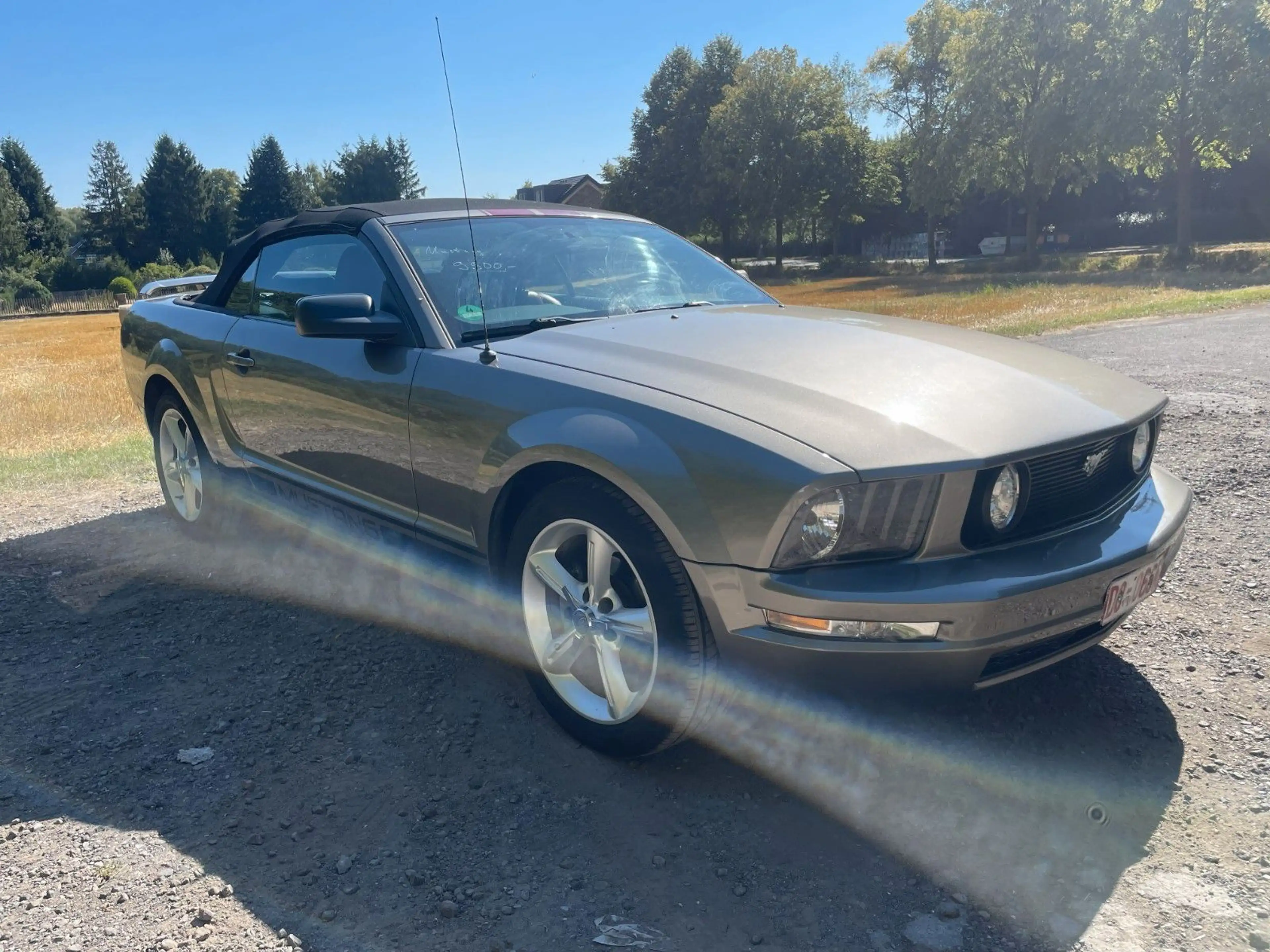 Ford Mustang Cabrio Top! — photo 6