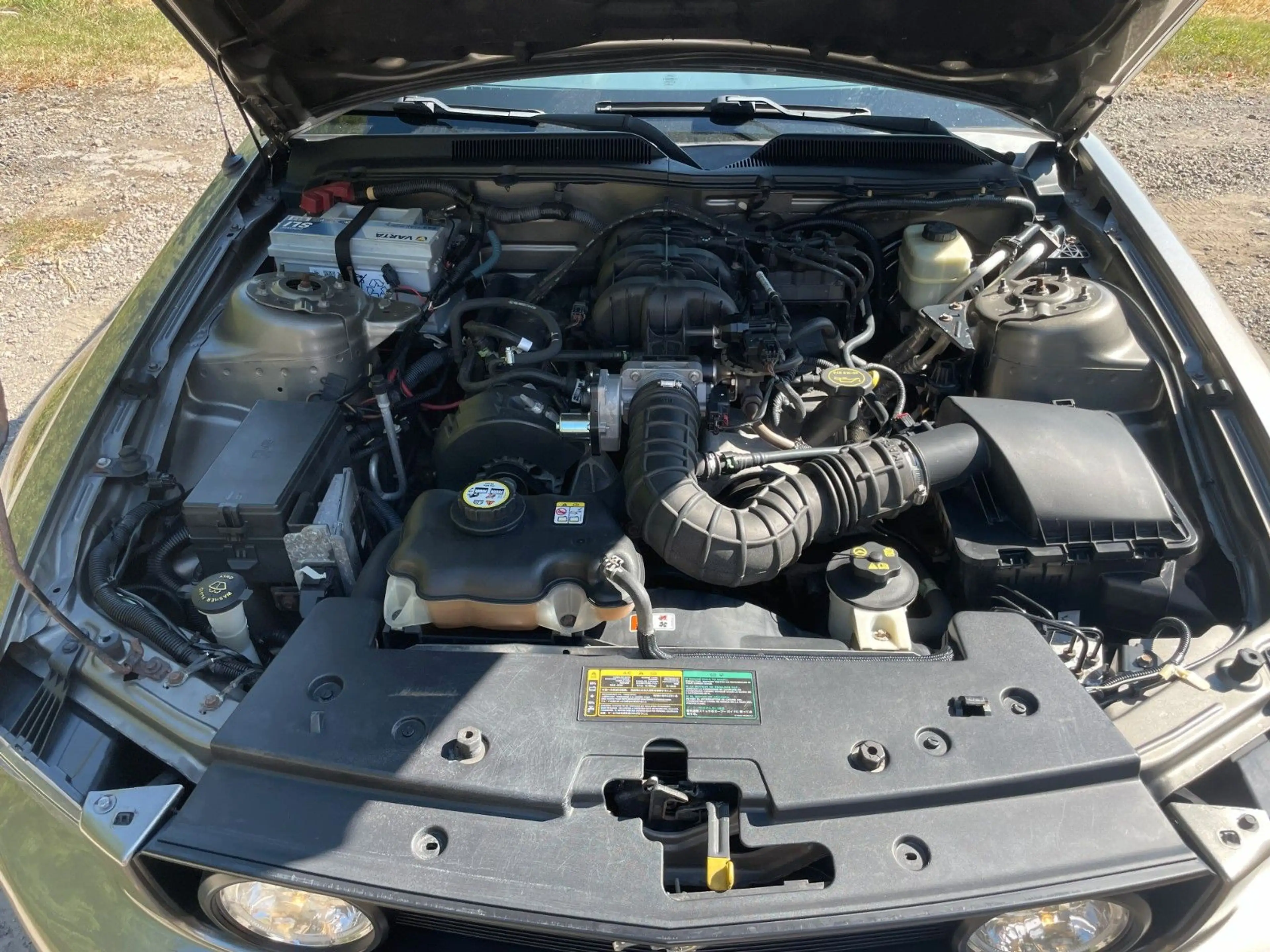 Ford Mustang Cabrio Top! — photo 11