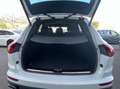 Porsche Cayenne 3.0 Diesel V6 Platinum Edition Traz.Integrale Bianco - thumbnail 10