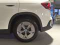 BMW iX1 xDrive30 Navi*SHZ* Weiß - thumbnail 12