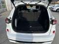 Ford Kuga 2,5 Duratec PHEV ST-Line Aut. Weiß - thumbnail 19