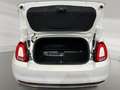 Fiat 500C 1.0 Mild Hybrid Dolcevita  Fahrassist+PTS Weiß - thumbnail 13