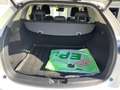 Mazda CX-5 /G194/AWD/AT/REVOLUTION TOP Weiß - thumbnail 10