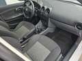 SEAT Ibiza Sport 1,2i hPICKERL: 05/2027, KLIMA, BLUETOOHT ... Weiß - thumbnail 12