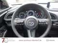 Mazda CX-30 Exclusive-Line 140 Automatik BOSE|Navi|Matrix-LED Braun - thumbnail 11