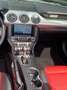 Ford Mustang GT Convertible Willig´s Sportpaket Zwart - thumbnail 15