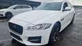 Jaguar XF 20d R-Sport Sportbrake Automatik Digital Weiß - thumbnail 3