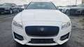Jaguar XF 20d R-Sport Sportbrake Automatik Digital Weiß - thumbnail 2