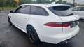 Jaguar XF 20d R-Sport Sportbrake Automatik Digital Weiß - thumbnail 5