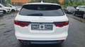 Jaguar XF 20d R-Sport Sportbrake Automatik Digital Weiß - thumbnail 6