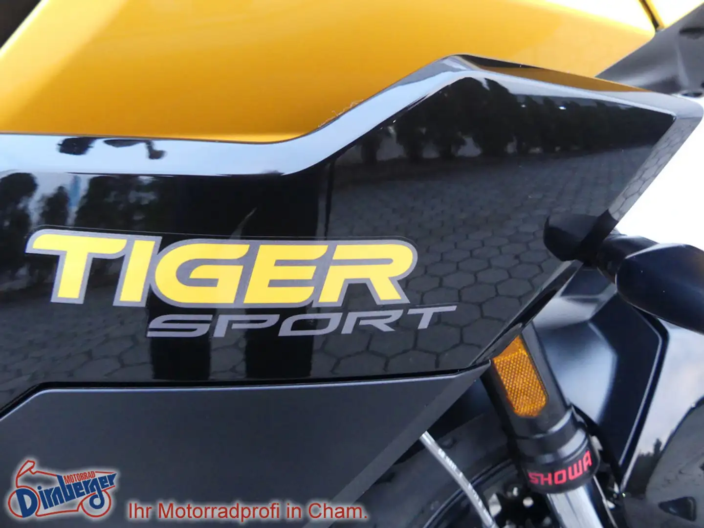 Triumph Tiger Sport 800 neues Modell 2025 Probefahren Sarı - 2