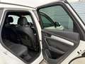 Audi Q5 45 TFSI quattro S-tronic intense/S-Line 1. Besitz Weiß - thumbnail 16