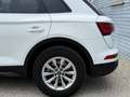 Audi Q5 45 TFSI quattro S-tronic intense/S-Line 1. Besitz Weiß - thumbnail 8
