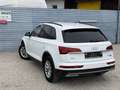 Audi Q5 45 TFSI quattro S-tronic intense/S-Line 1. Besitz Weiß - thumbnail 9