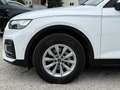 Audi Q5 45 TFSI quattro S-tronic intense/S-Line 1. Besitz Weiß - thumbnail 7