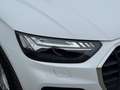 Audi Q5 45 TFSI quattro S-tronic intense/S-Line 1. Besitz Weiß - thumbnail 5