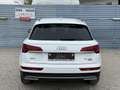 Audi Q5 45 TFSI quattro S-tronic intense/S-Line 1. Besitz Weiß - thumbnail 11