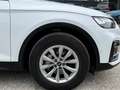 Audi Q5 45 TFSI quattro S-tronic intense/S-Line 1. Besitz Weiß - thumbnail 6