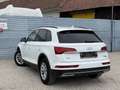 Audi Q5 45 TFSI quattro S-tronic intense/S-Line 1. Besitz Weiß - thumbnail 10