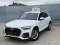 Audi Q5 45 TFSI quattro S-tronic intense/S-Line 1. Besitz Weiß - thumbnail 1