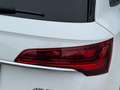Audi Q5 45 TFSI quattro S-tronic intense/S-Line 1. Besitz Weiß - thumbnail 13