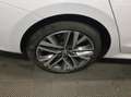 Skoda Octavia Combi Selection Weiß - thumbnail 5