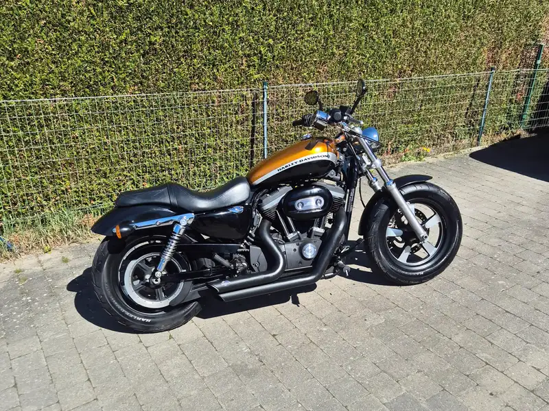 Harley-Davidson 1200 Custom - foto 4