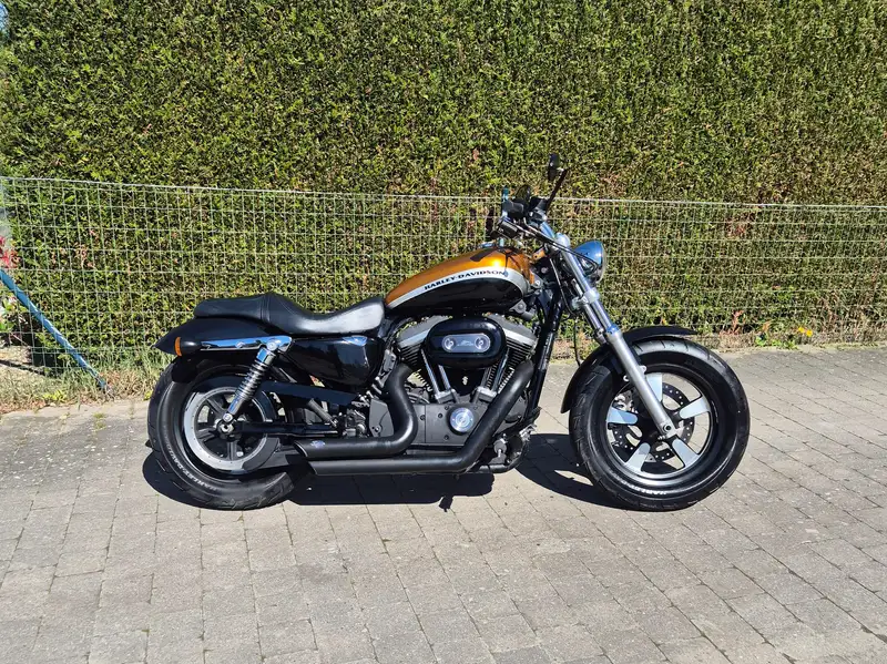 Harley-Davidson 1200 Custom - foto 7