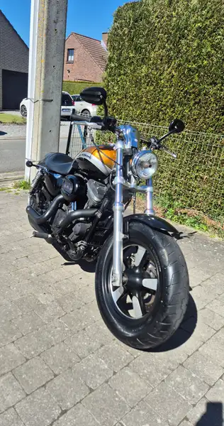 Harley-Davidson 1200 Custom - foto 6