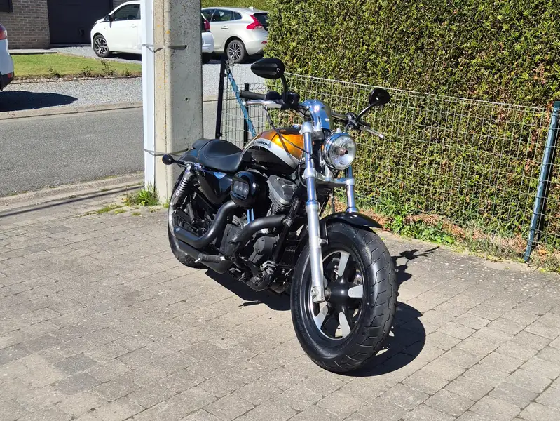 Harley-Davidson 1200 Custom - foto 2