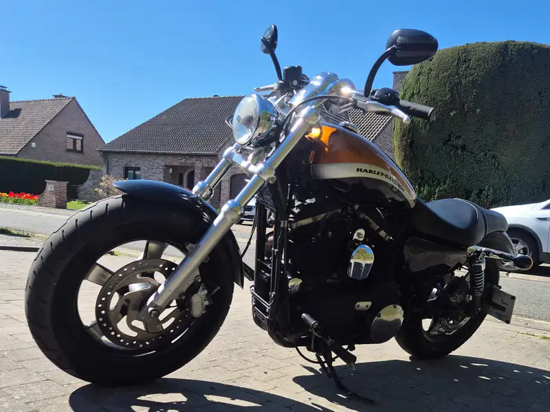 Harley-Davidson 1200 Custom - foto 5